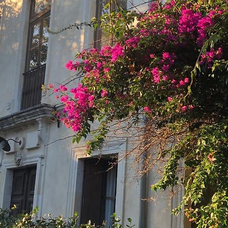 L' Ilot Des Iles Bed and Breakfast Cuxac-dʼAude Εξωτερικό φωτογραφία